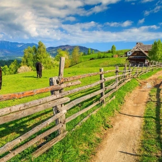 tourhub | TD Active Holidays | Transylvania Walking Holiday 