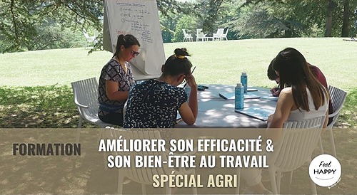 Représentation de la formation : Améliorer son efficacité et son bien-être au travail - spécial AGRI