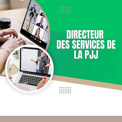 Représentation de la formation : Préparation au concours externe de directeur  des services de la PJJ