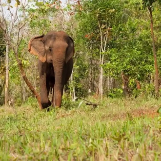 tourhub | Travel Department | Highlights of Bangkok & Cambodia incl. Angkor Wat & Beach Extension 