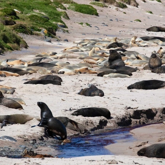 tourhub | Heritage Expeditions | Beyond Fiordland 