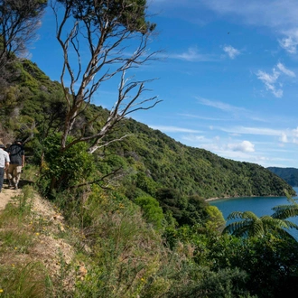 tourhub | Heritage Expeditions | Unseen Queen Charlotte Sound 