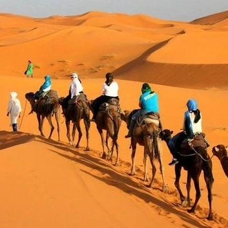 tourhub | Morocco Premium Tours | 7-Day Moroccan Adventure: From Casablanca to Marrakech 