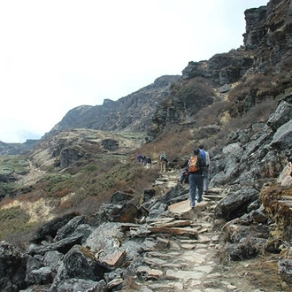 tourhub | Bhutan Acorn Tours & Travel | Druk Path Trek and Cultural Tour In Pristine Bhutan 