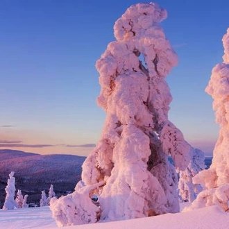 tourhub | On The Go Tours | Levi Lapland Explorer - 6 Days 