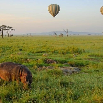 tourhub | Bamba Travel | Highlights of Tanzania Safari 6D/5N (Tarangire, Serengeti & Ngorongoro) 