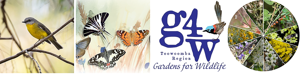 Gardens for Wildlife Toowoomba Region