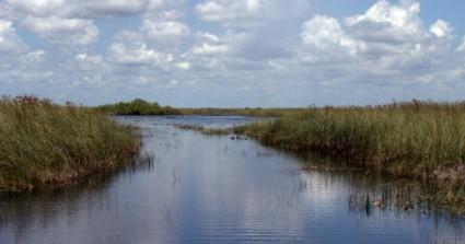 Wild Lime Adventures™ Full Day Tour: Dry Hike & Everglades Adventure Led by an Experienced Naturalist