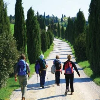 tourhub | UTracks | Via Francigena: Southern Tuscany from Siena 