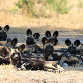 tourhub | Bundu Safaris Ltd | Zambia's Best Parks 