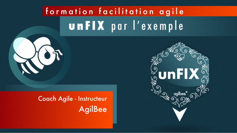 Représentation de la formation : Modèle UnFIX