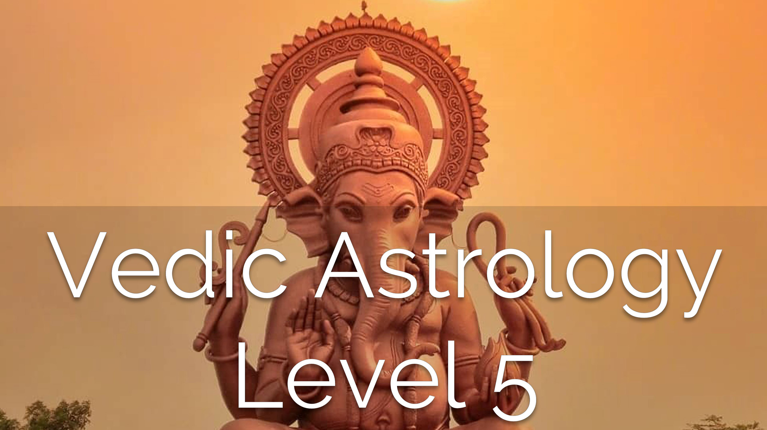 Vedic Astrology Level 5 2023 | Vedic Traditions
