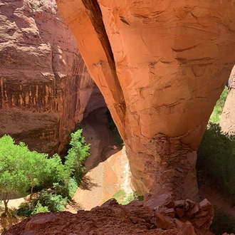 tourhub | Intrepid Travel | Hiking and Backpacking Utah's Coyote Gulch		 