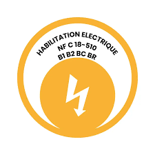 Représentation de la formation : Habilitations Electriques – B1 B2 BR BC - Initial 