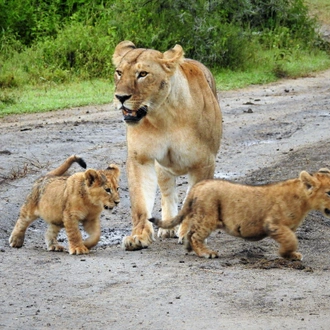 tourhub | Sana Wild Experience | TANZANIA FAMILY SAFARI 