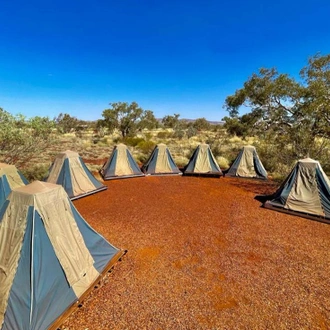 tourhub | Intrepid Travel | Walk Western Australia's Karijini & Ningaloo Reef 