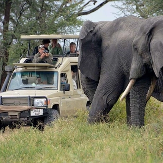 tourhub | Gracepatt Ecotours Kenya | Private 4 Days Masai Mara 4X4 Jeep Lodge Safari 