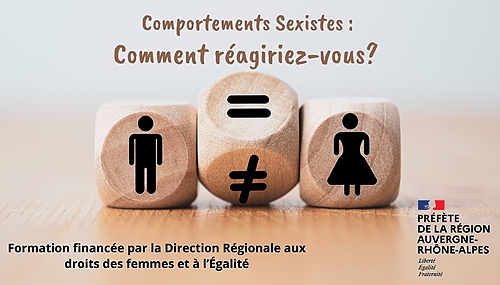 Représentation de la formation : Comportements sexistes au quotidien module 2 