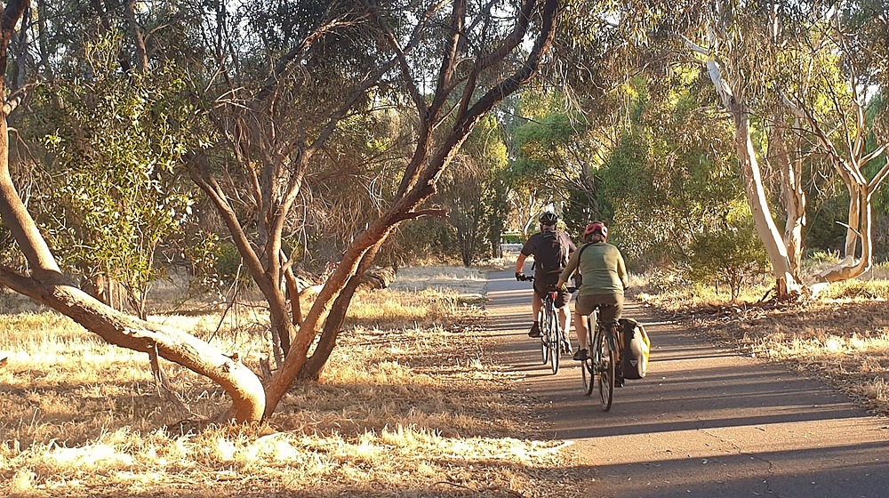 Cycling through G.S. Kingston Park / Wirrarninthi (Park 23) in the western Park Lands