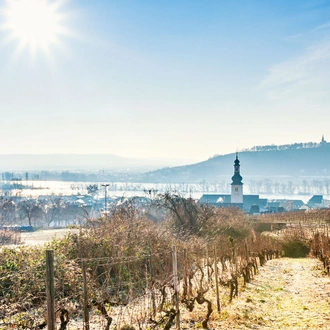 tourhub | Riviera Travel | New Year on the Rhine - MS Oscar Wilde 