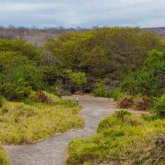 tourhub | Latin Trails | Galapagos West, Central, North & Southern Islands Cruise 