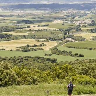 tourhub | Explore! | Walking the Camino de Santiago 