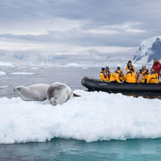 tourhub | Intrepid Travel | South Georgia and Antarctic Peninsula: Penguin Safari  