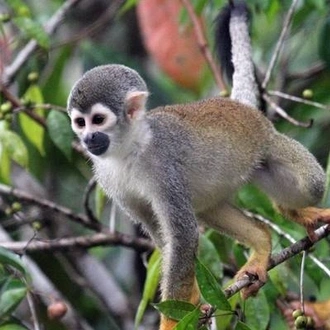 tourhub | Ecuador Galapagos Travels | 8 Days Cuyabeno Wildlife Reserve and Middle of the World Discovery 