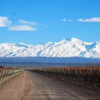 tourhub | Tangol Tours | 4-Day Mendoza Tour 