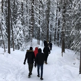 tourhub | Globalduniya | Vancouver to Banff 4 Days Rockies Lake Louise Snow adventure Tour Private 