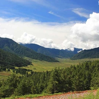 tourhub | Bhutan Acorn Tours & Travel | Wonders of Bhutan Incl. (3-Day) Gangtey Nature Trek 