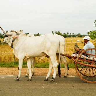 tourhub | SpiceRoads Cycling | Wilds of Cambodia 