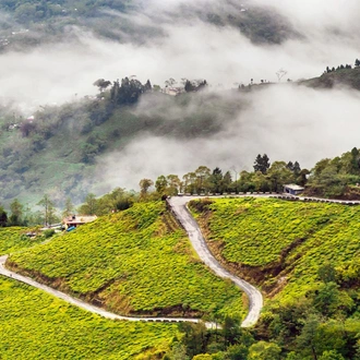 tourhub | Panda Experiences | Bhutan Trip from Kolkata 