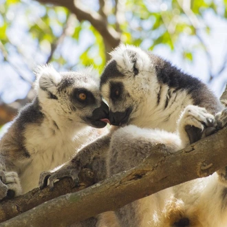 tourhub | SpiceRoads Cycling | Bike and Hike Wild Madagascar 