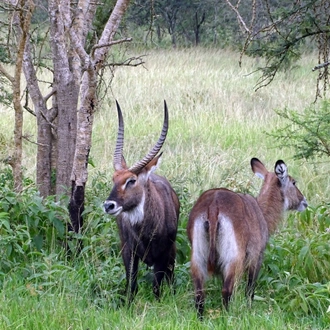 tourhub | Ganyana Safaris | 8 Days The Big 5 Adventure Safari 