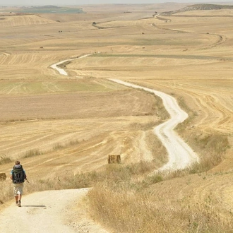 tourhub | Exodus Adventure Travels | Walking across the Pyrenees on the Camino Frances 