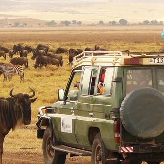 tourhub | On The Go Tours | Kruger to the Serengeti (Accommodated) - 29 days 