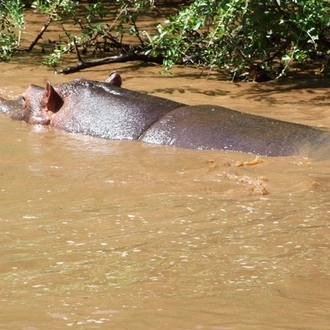 tourhub | Frenzy Adventures Limited | 3 Days Tsavo East & Tsavo Lion King Safari 