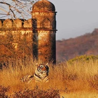 tourhub | MTA Destination Experts Pvt. Ltd. | 13 Days Classic India with Ranthambore 