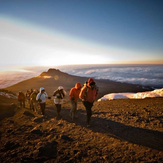 tourhub | Intrepid Travel | Kilimanjaro: Machame Route 