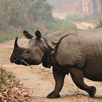 tourhub | Intrepid Travel | Chitwan National Park Extension 