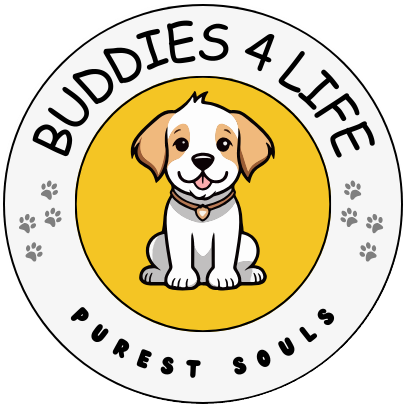 Buddies 4 Life logo