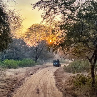 tourhub | Exodus Adventure Travels | Colours of Rajasthan 