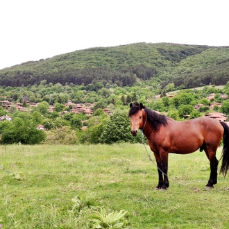 tourhub | Visit Bulgaria On | 8-Day Private Tour Highlights of Bulgaria 