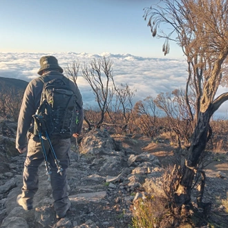 tourhub | Explore Active | Mount Kilimanjaro: 6-Day Machame Route Trek, 8-Day Adventure 