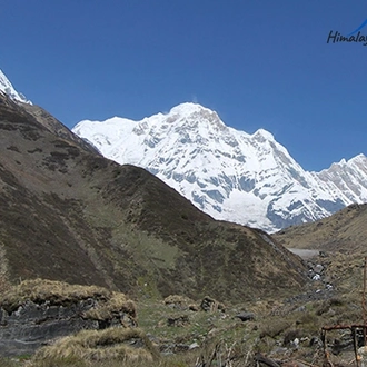 tourhub | Himalayan Asia Treks and Expedition P Ltd | Annapurna Base Camp Trek 5 Days from Pokhara 