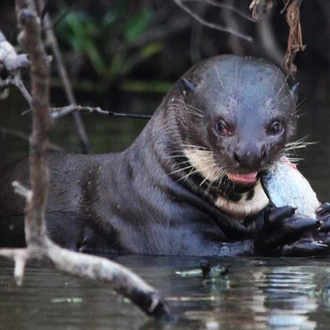 tourhub | Bamba Travel | Pantanal, Bonito & Iguazu Adventure 9D/8N (from Campo Grande) 