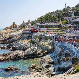 tourhub | Intrepid Travel | South Korea Family Holiday 