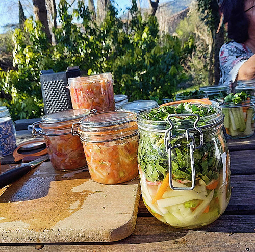 Représentation de la formation : CB : Conserver et valoriser les légumes avec la technique de la Lactofermentation