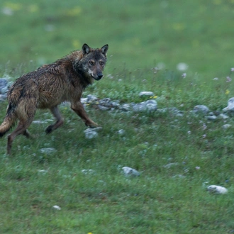 tourhub | Exodus Adventure Travels | Italian Apennines: Walks & Wildlife 